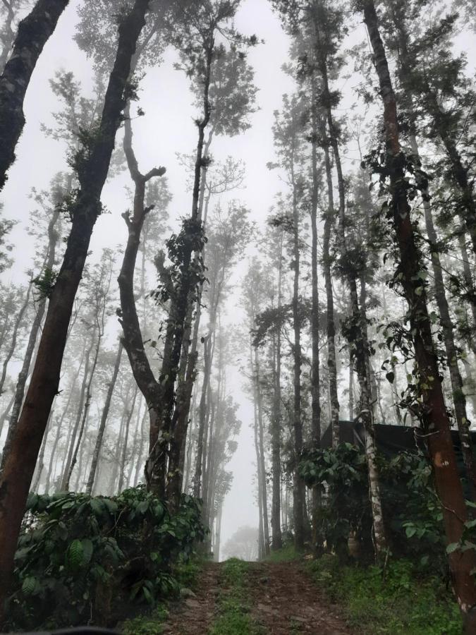 Coorg Happy Estate Stay Мадикери Экстерьер фото