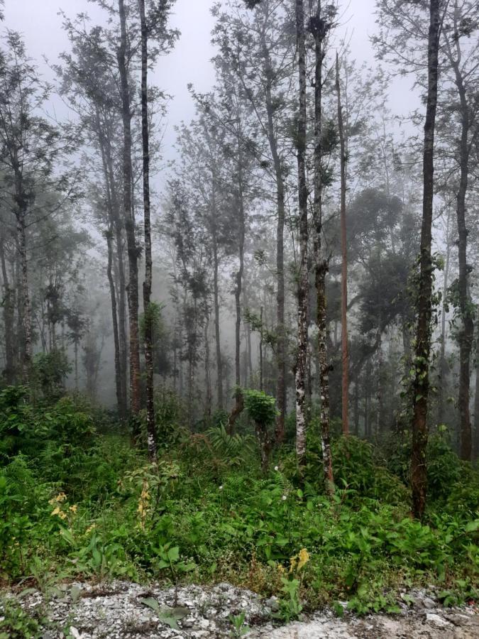 Coorg Happy Estate Stay Мадикери Экстерьер фото